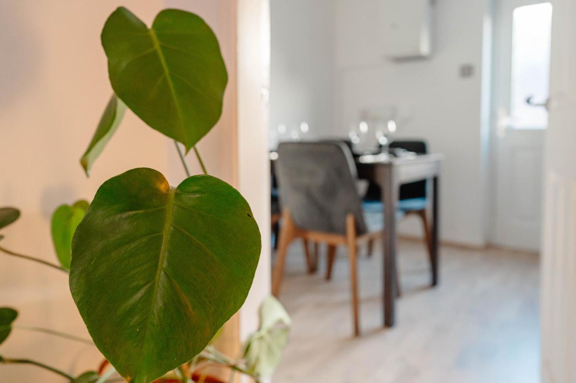 Holiday home Calm Cosy House With Beautiful Riverside Walk To Centre York